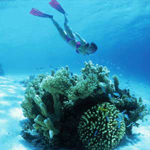 Dive Marshall Islands Photo Image 11