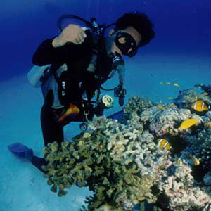 Dive Marshall Islands Photo Image 12