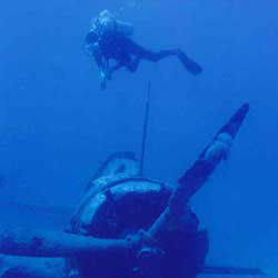 Dive Marshall Islands Photo Image 2